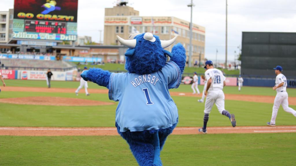 Hornsby Appearances Drillers