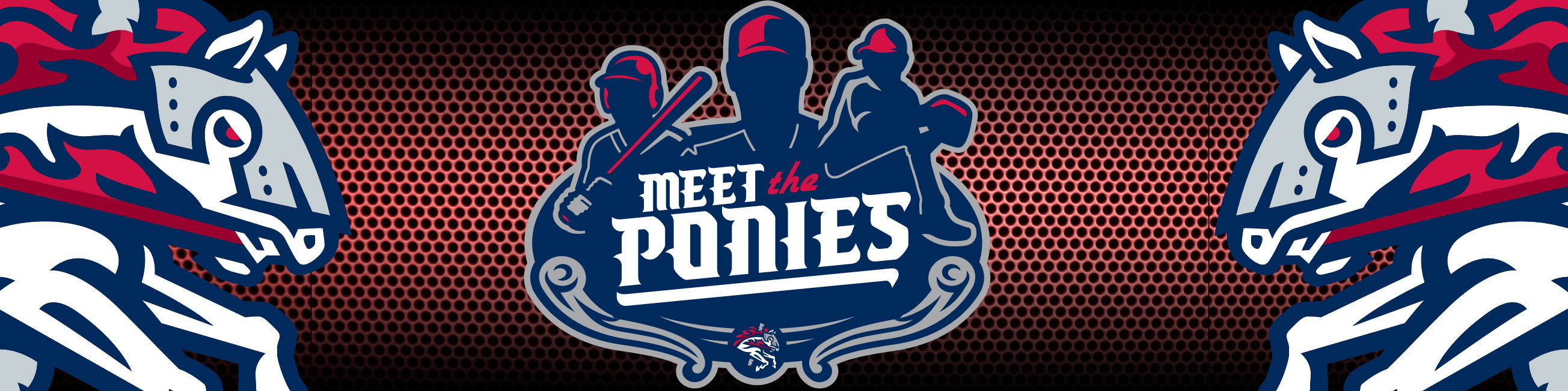 Meet The Ponies Rumble Ponies