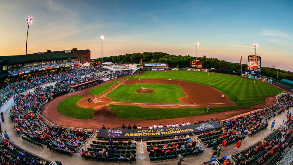 IronBirds Themed Night Ticket Packs IronBirds